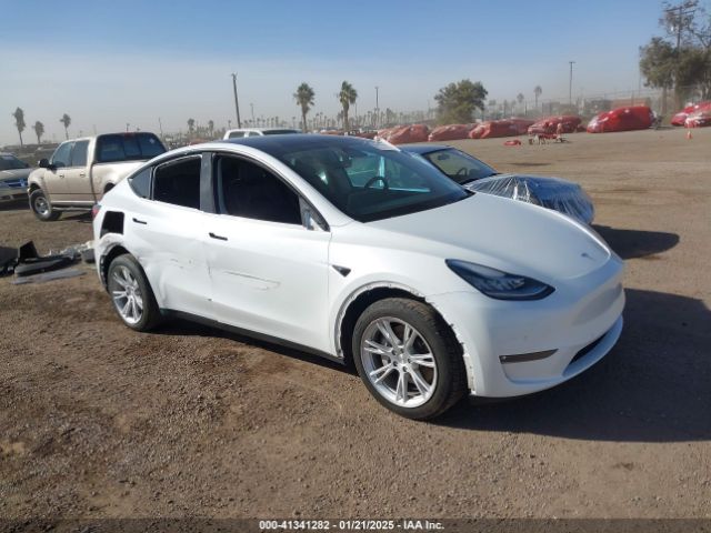 tesla model y 2021 5yjygdee6mf281206