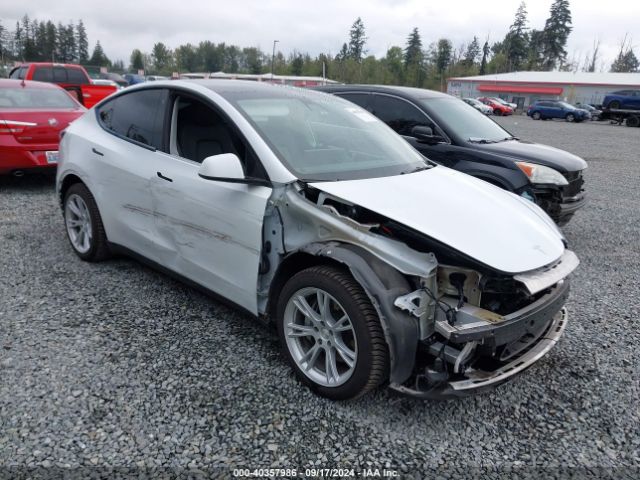 tesla model y 2021 5yjygdee7mf198819