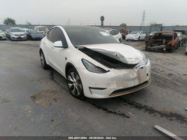 tesla model y 2021 5yjygdeexmf150246