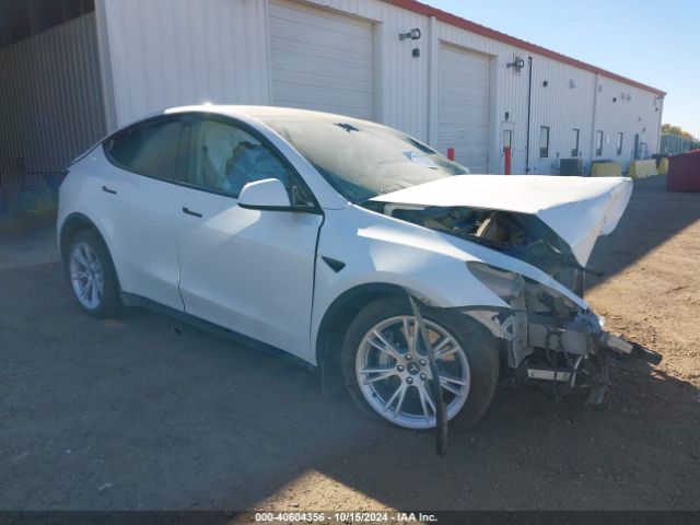 tesla model y 2021 5yjygdeexmf193632