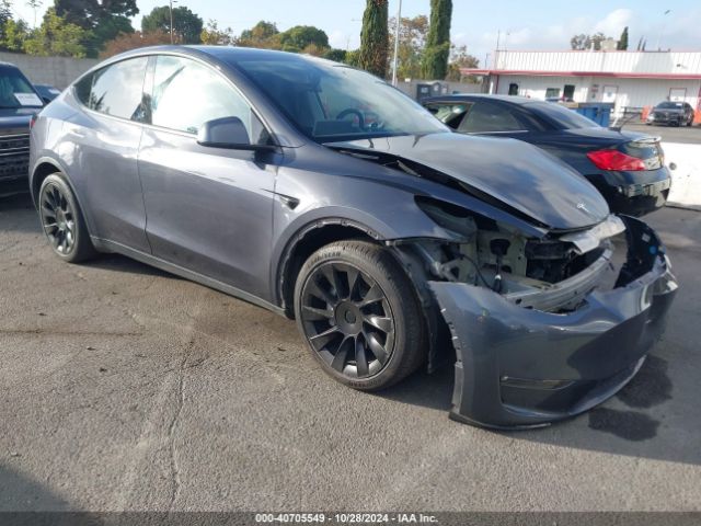 tesla model y 2021 5yjygdeexmf283136