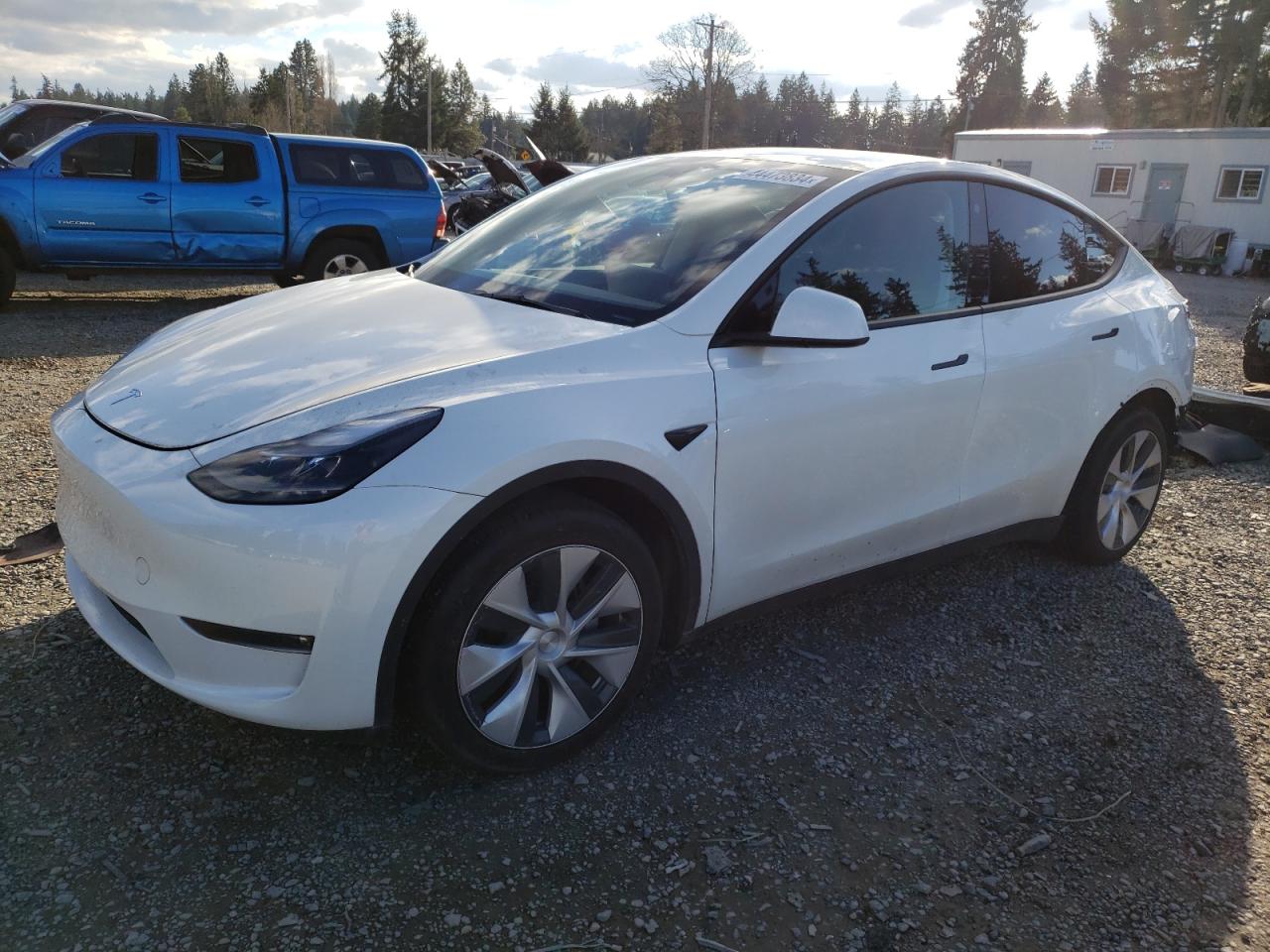 tesla model y 2023 7saygaee1pf778413