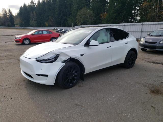 tesla model y 2024 7saygaee1rf190241