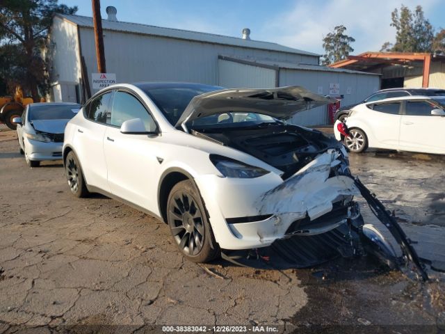 tesla model y 2023 7saygaee2pf742732