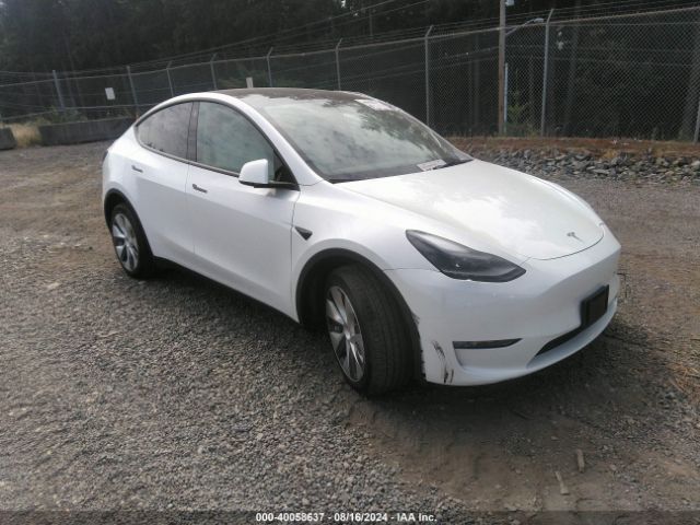 tesla model y 2022 7saygaee7nf538005