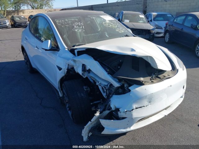 tesla model y 2024 7saygded0rf163654