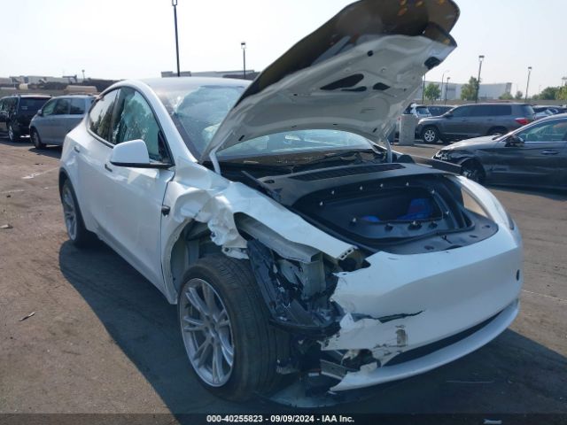 tesla model y 2024 7saygded3rf011125