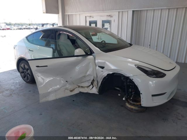 tesla model y 2024 7saygded3rf115792