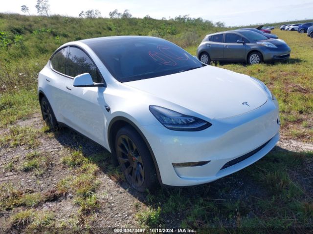 tesla model y 2023 7saygdee0pa146761