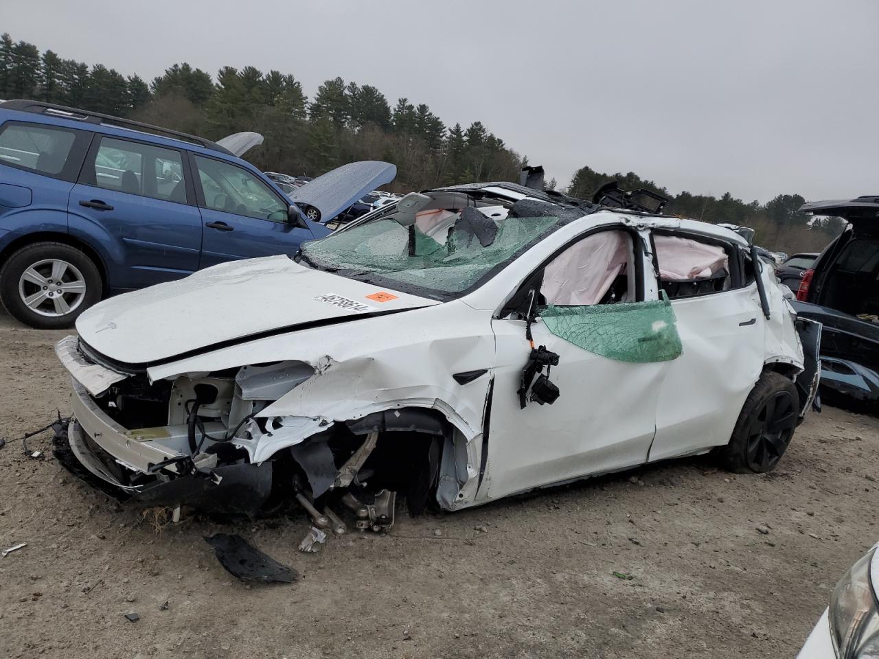 tesla model y 2023 7saygdee1pf803263