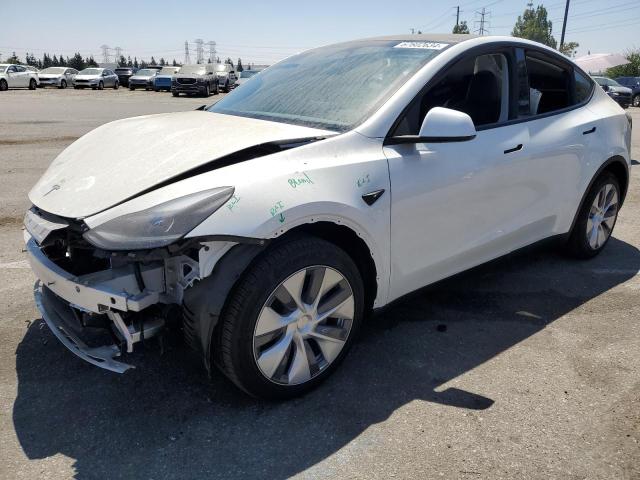 tesla model y 2024 7saygdee1rf082428