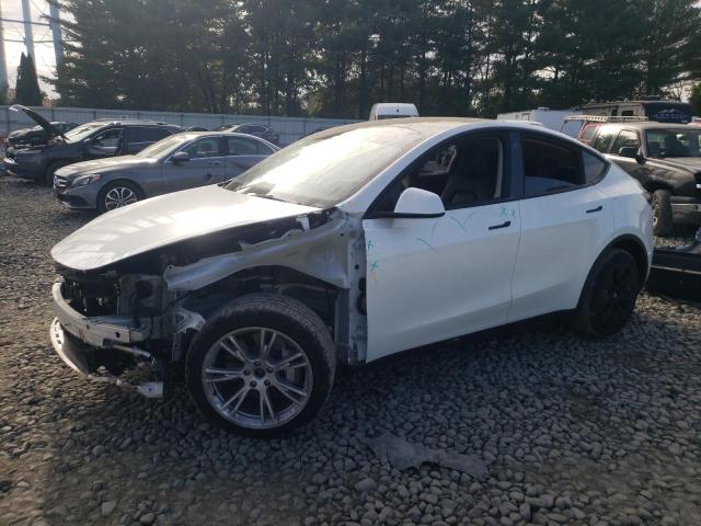 tesla model y 2023 7saygdee2pa115480