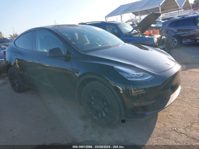 tesla model y 2023 7saygdee3pa093151