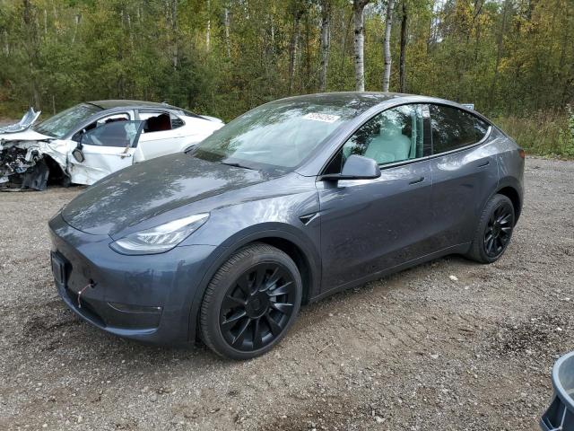 tesla model y 2023 7saygdee4pf609049