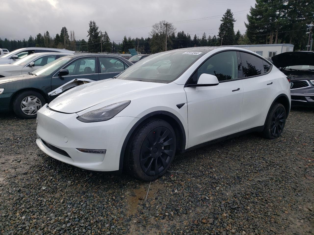 tesla model y 2023 7saygdee4pf807212