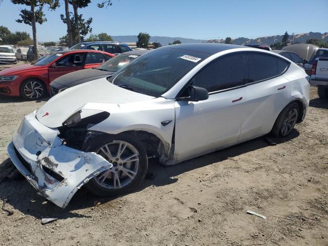 tesla model y 2023 7saygdee4pf813947