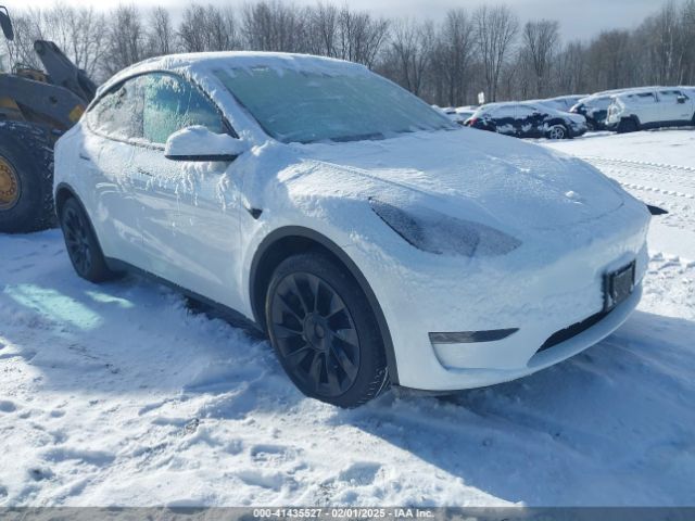 tesla model y 2024 7saygdee4ra261057