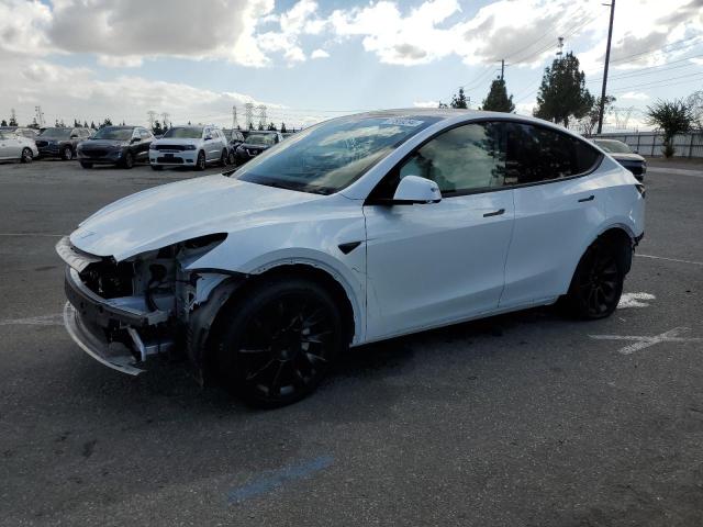 tesla model y 2023 7saygdee5pa081955