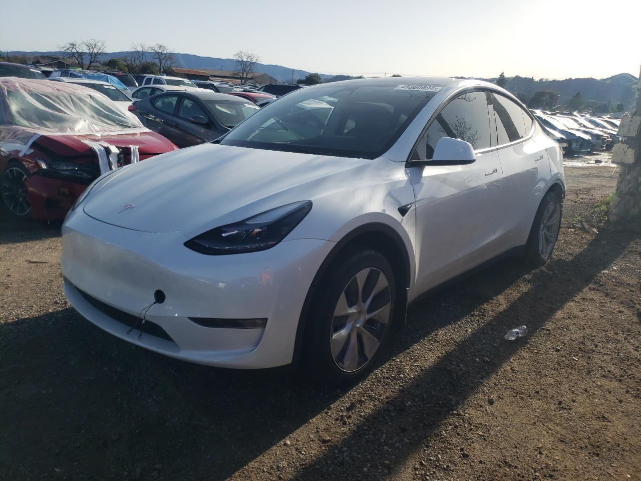 tesla model y 2023 7saygdee5pf645347