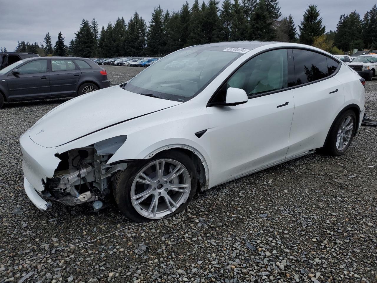 tesla model y 2023 7saygdee6pf782684