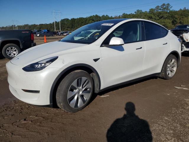 tesla model y 2022 7saygdee7na015212