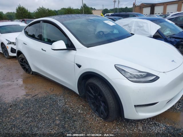 tesla model y 2022 7saygdee7nf567781