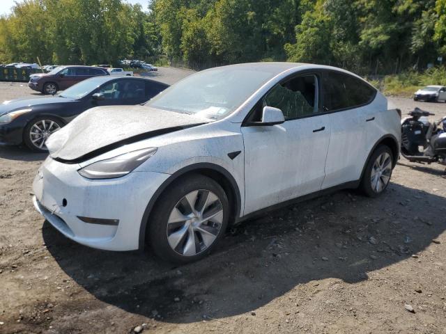 tesla model y 2024 7saygdee7pf785495