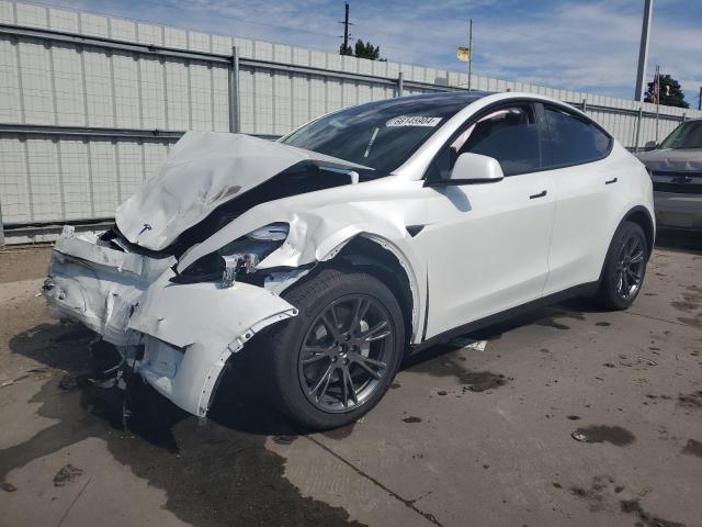 tesla model y 2024 7saygdee7rf117134