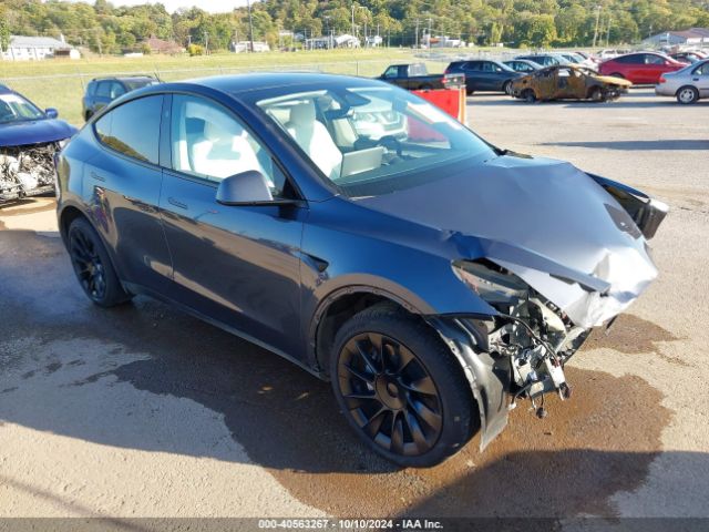 tesla model y 2023 7saygdee8pa176557