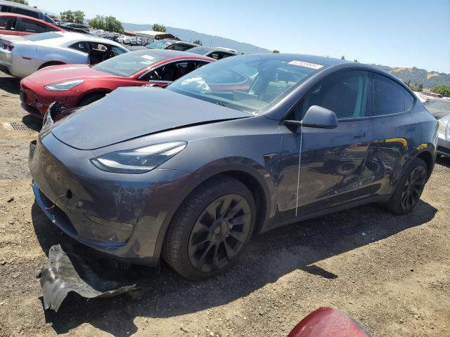 tesla model y 2023 7saygdee8pf916790