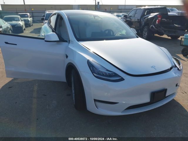 tesla model y 2023 7saygdeexpf619133