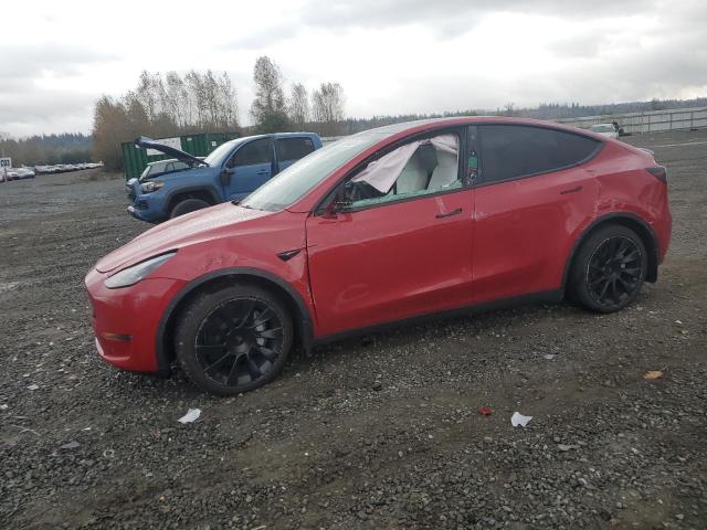 tesla model y 2023 7saygdeexpf630391