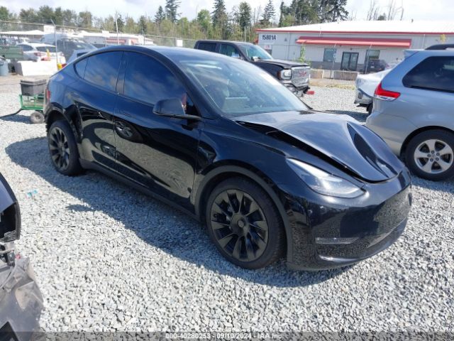 tesla model y 2023 7saygdeexpf816495