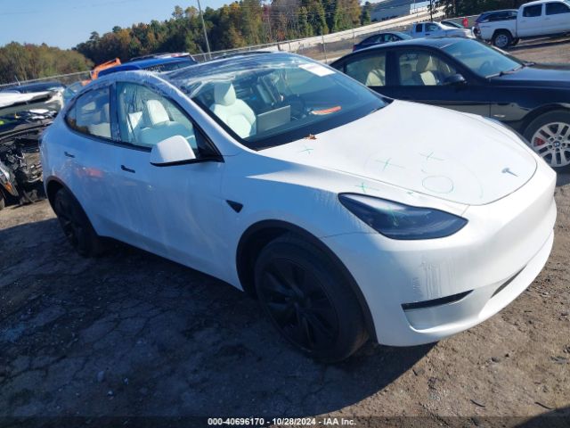 tesla model y 2024 7saygdeexra313534