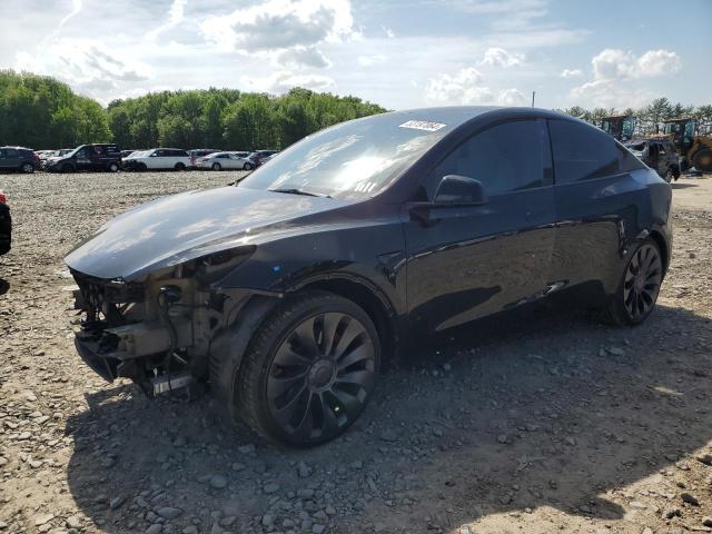 tesla model y 2023 7saygdef0pf776341