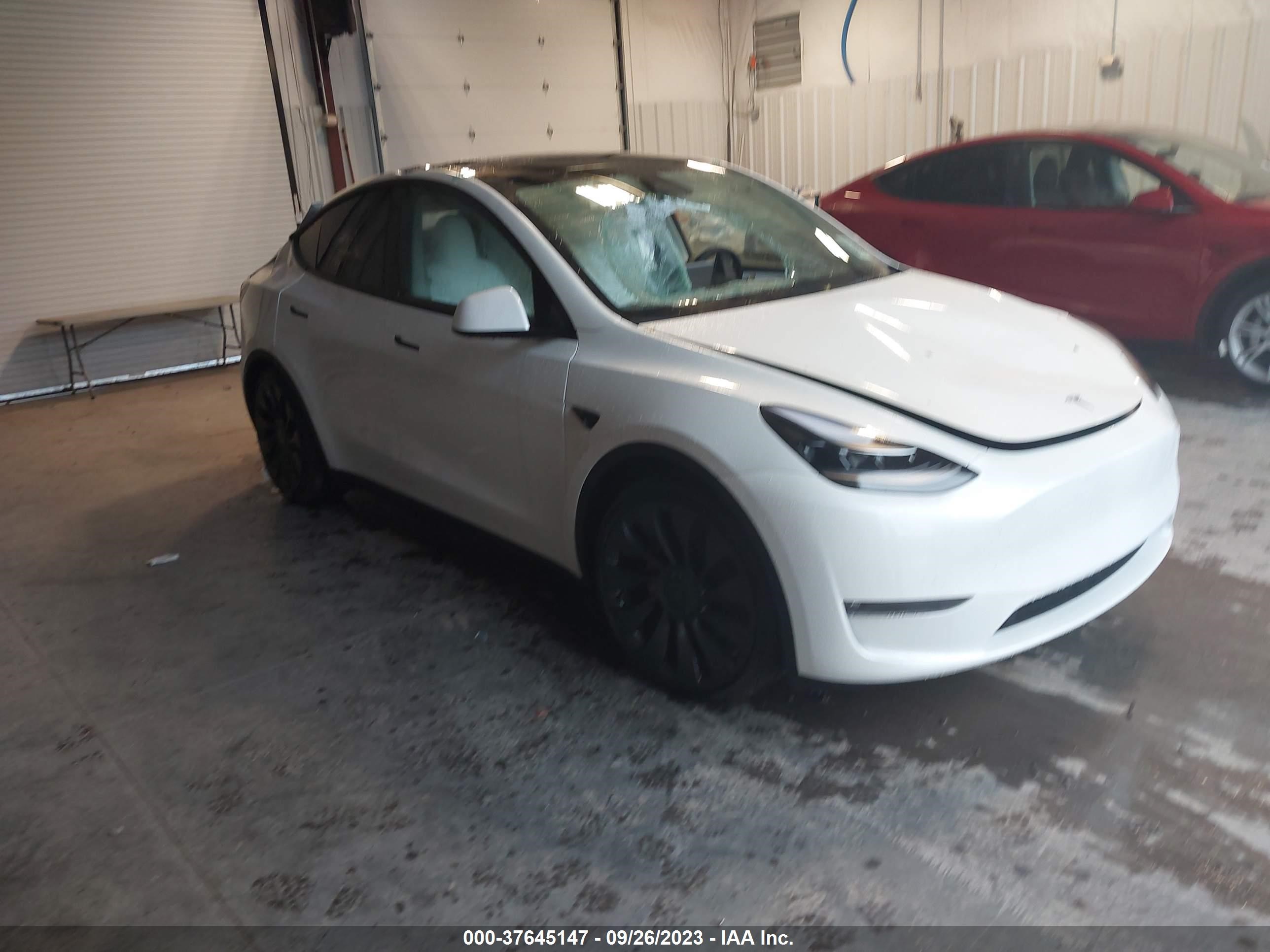 tesla model y 2023 7saygdef0pf843018