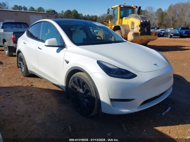 tesla model y 2022 7saygdef1nf457432