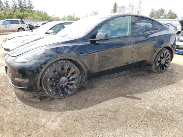 tesla model y 2022 7saygdef3nf532177