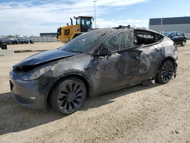 tesla model y 2022 7saygdef4nf502007