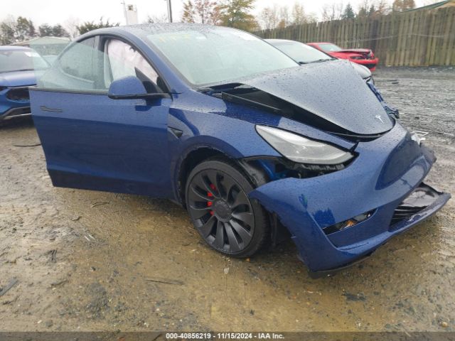 tesla model y 2023 7saygdef7pf828919