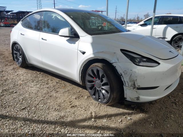 tesla model y 2024 7saygdef7rf036501