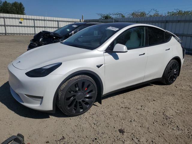 tesla model y 2023 7saygdef8pf804287