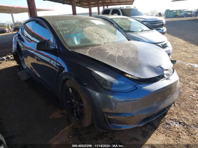 tesla model y 2023 7saygdefxpf749468