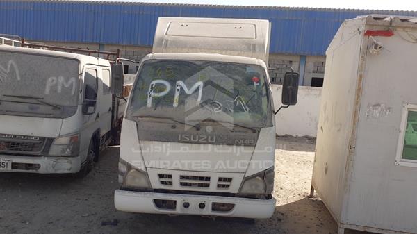 isuzu nkr 2008 jaajp23g487k02595