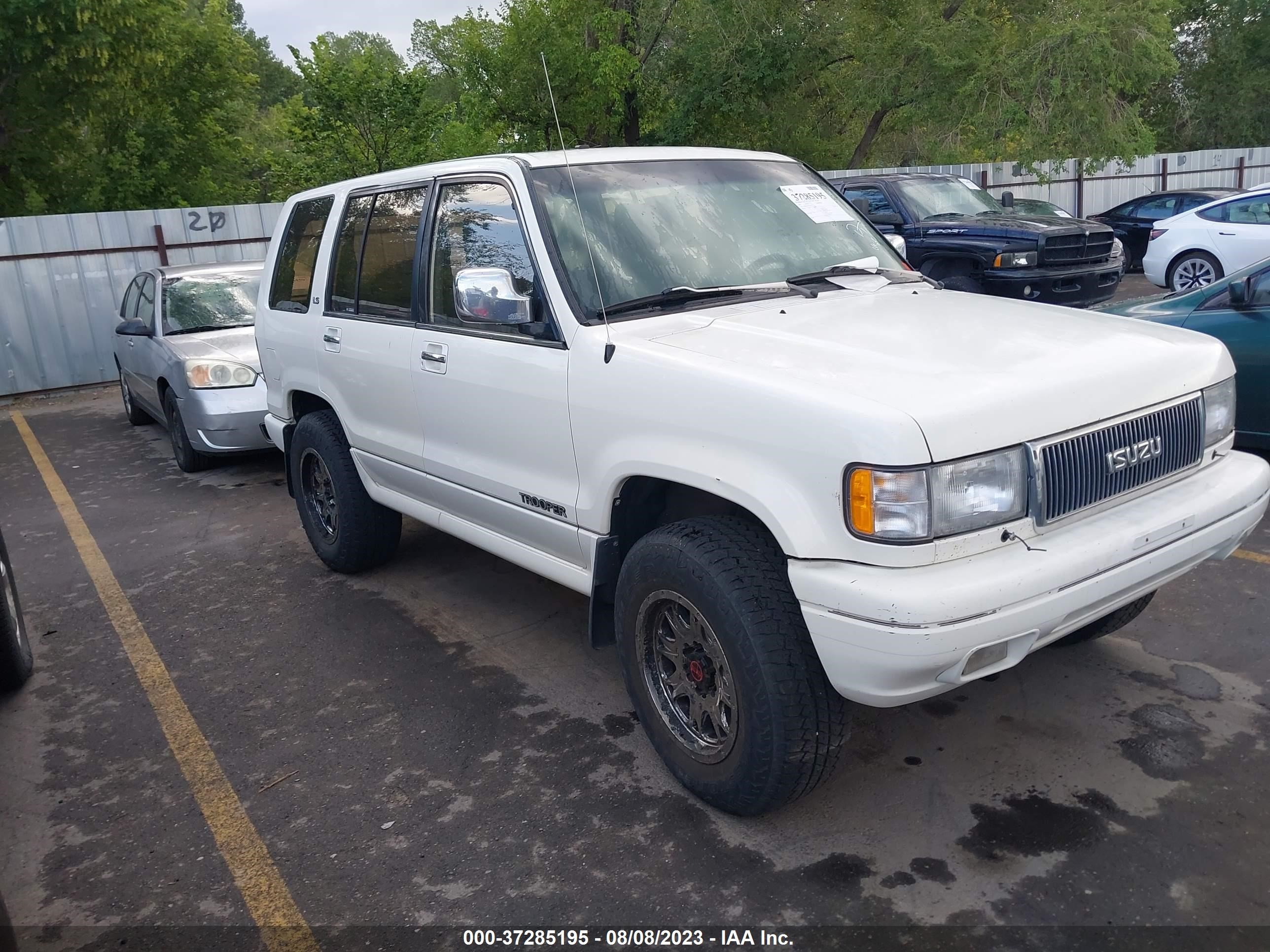 isuzu trooper 1993 jacdh58w3p7902173