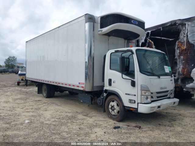 isuzu nrr 2023 jale5w162p7304038