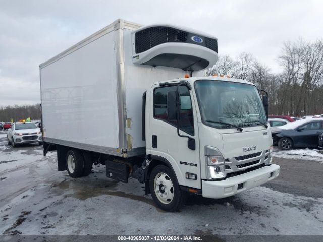 isuzu nqr 2022 jale5w166n7901724