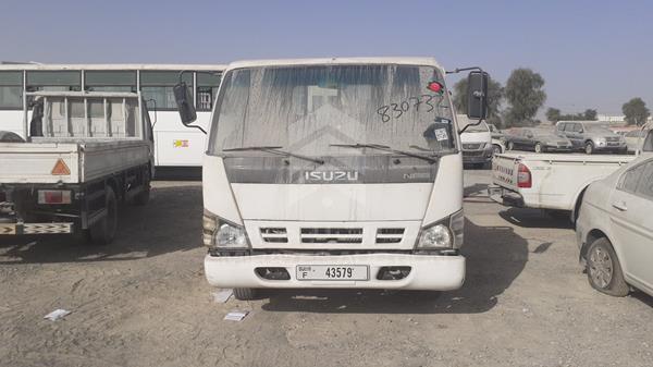 isuzu npr 2008 jamkp34g987p04952