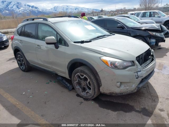 subaru xv crosstrek 2013 jf2gpagc4d2854985