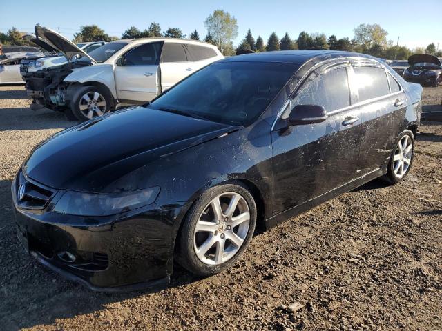 acura tsx 2006 jh4cl95916c014558